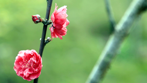 AG真人娱乐- AG真人平台(集团)官方网站