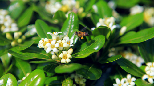 AG真人娱乐- AG真人平台(集团)官方网站