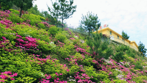 AG真人娱乐- AG真人平台(集团)官方网站