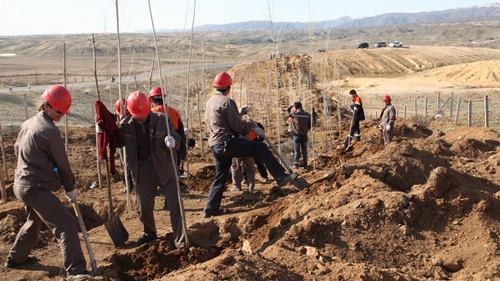 AG真人娱乐- AG真人平台(集团)官方网站