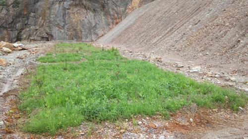 AG真人娱乐- AG真人平台(集团)官方网站