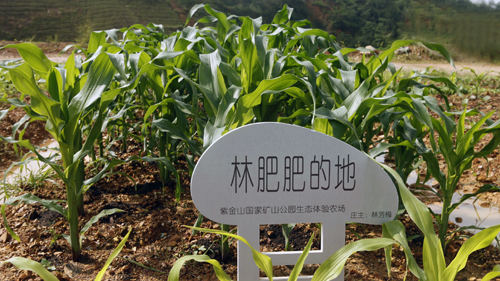 AG真人娱乐- AG真人平台(集团)官方网站