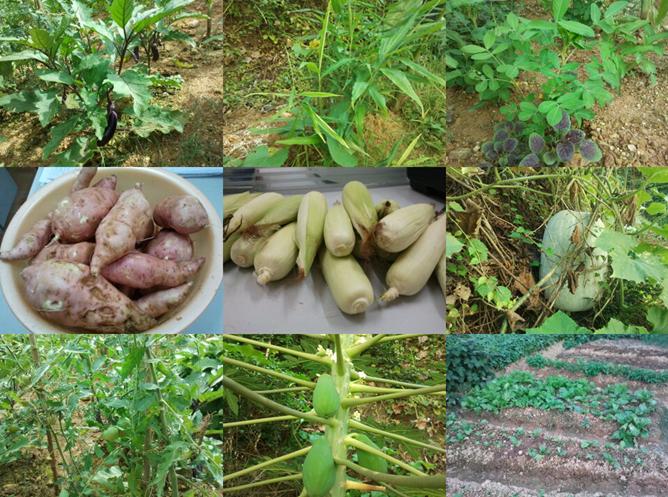 AG真人娱乐- AG真人平台(集团)官方网站