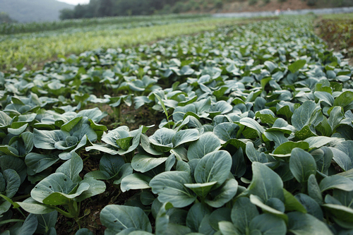 AG真人娱乐- AG真人平台(集团)官方网站