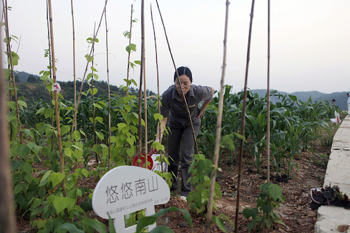 AG真人娱乐- AG真人平台(集团)官方网站