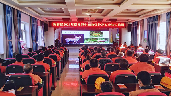 珲春AG真人娱乐开展野生动物；；；ぜ扒寰仓杜嘌