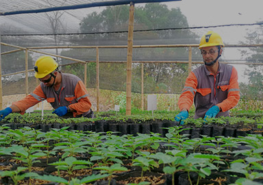 AG真人娱乐- AG真人平台(集团)官方网站