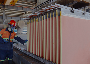 AG真人娱乐- AG真人平台(集团)官方网站