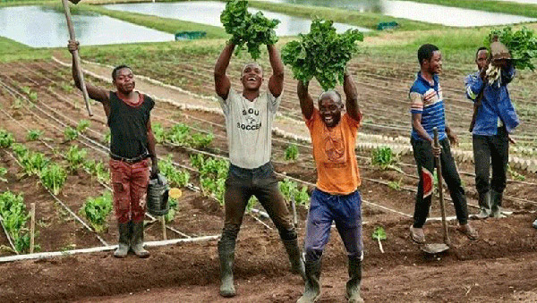 AG真人娱乐- AG真人平台(集团)官方网站