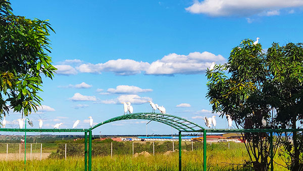 AG真人娱乐- AG真人平台(集团)官方网站