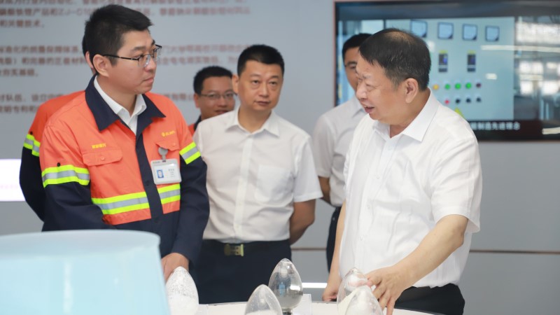 陈景河董事长调研冶炼及新能源新质料权属企业
