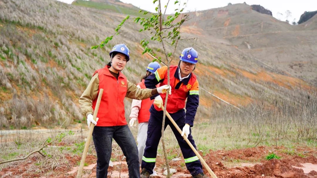 AG真人娱乐青年“上春山” 添新绿