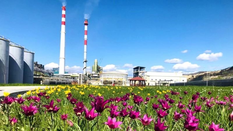 塞尔维亚AG真人娱乐铜业打造绿色冶金“花园工厂”