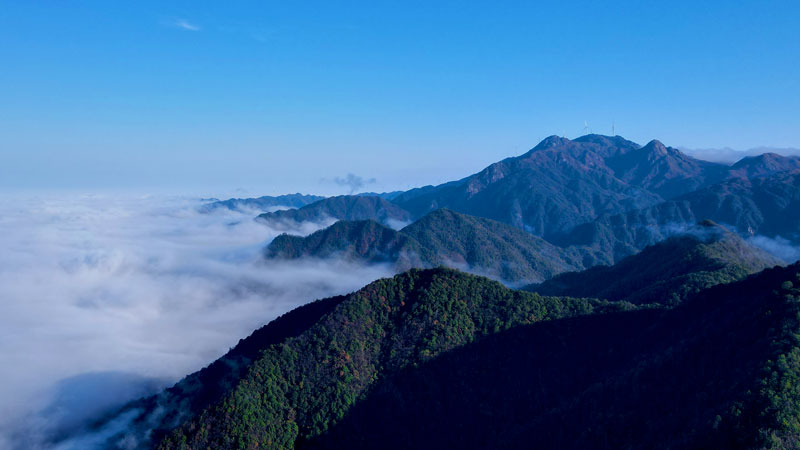 AG真人娱乐- AG真人平台(集团)官方网站