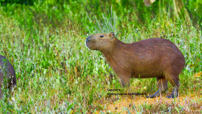 AG真人娱乐- AG真人平台(集团)官方网站