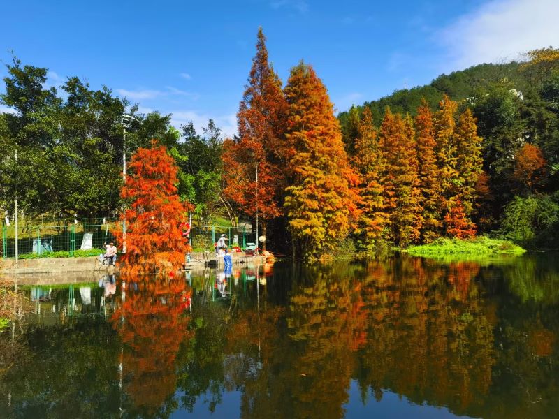 镜头里的AG真人娱乐山铜金矿