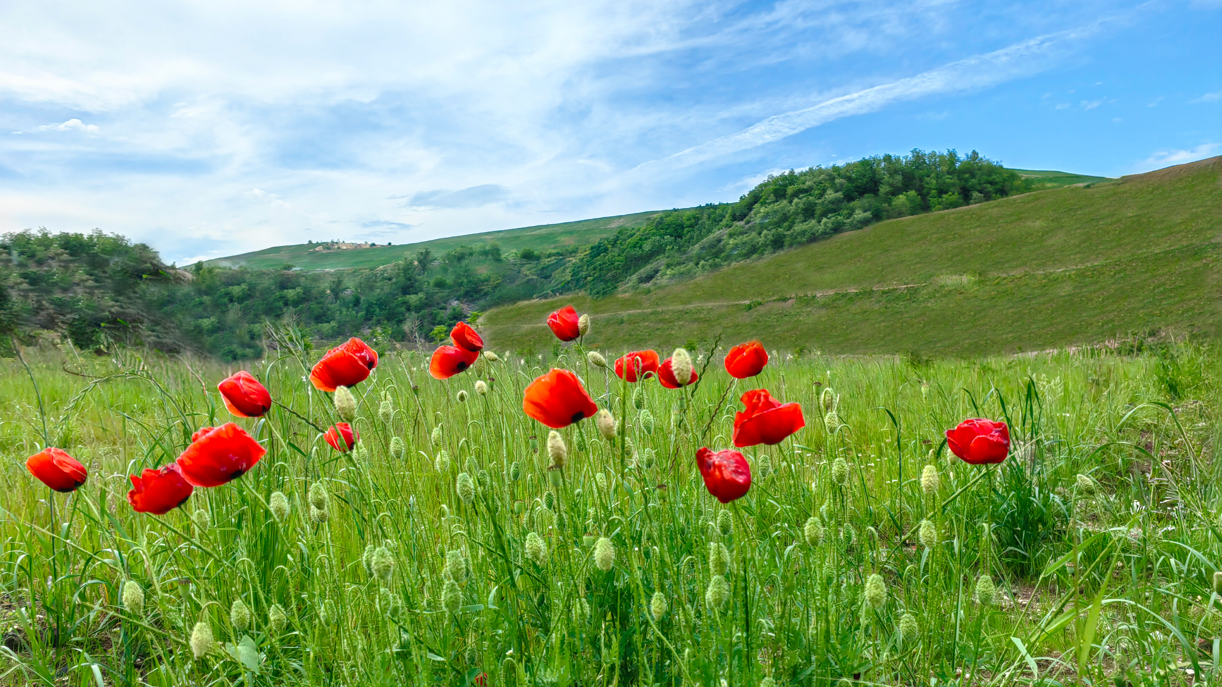 2500天的蜕变 | 从浊流涟涟到一泓清波